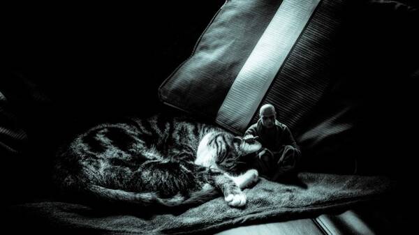 photographer Dalstripe66 photomanipulation modelling photo taken at Essex. me  my cat bruce lee on a saturday morning.