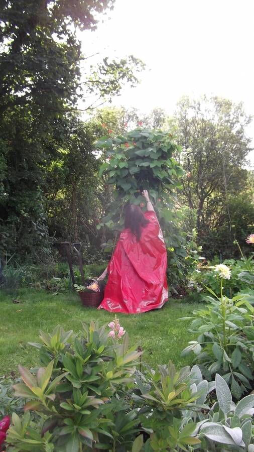 photographer richydab rainwear modelling photo taken at West Wales! with Lady Pluvmantelo. gardening in fetish rainwear.