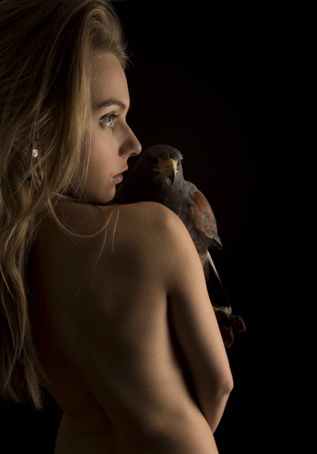 photographer Jeremysmithphotography implied nude modelling photo. model chloetoy and pickle my harris hawk who just loves the attention.