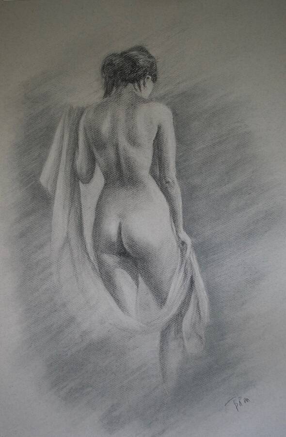 artist Pastels classic modelling photo. charcoal and pastel drawing on 700 x 500 fabriano tiziano paper.
