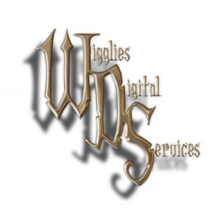 WiggliesDigitalServices profile photo