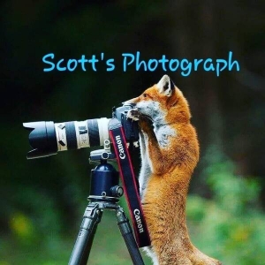Scotts_Photograph profile photo